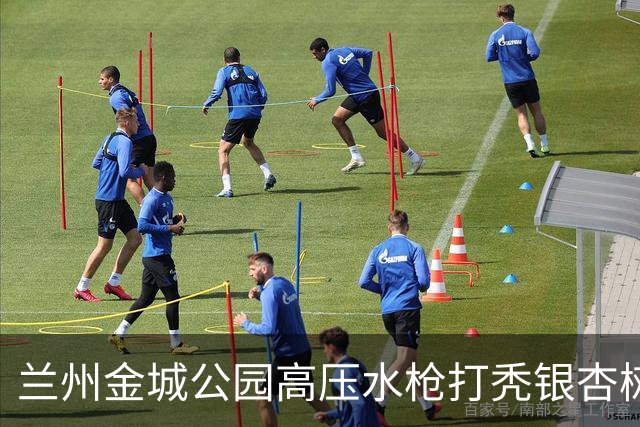 兰州金城公园高压水枪打秃银杏树，环卫公司负责人致歉：深刻检讨，两名涉事员工已停职